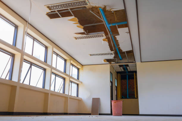 Best Water damage cleanup near me  in Haw River, NC