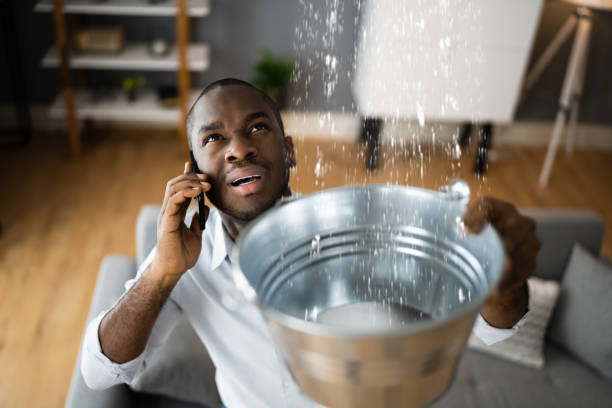 Best Water damage restoration company  in Haw River, NC