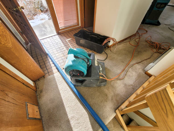 Best Sewage cleanup and water damage restoration  in Haw River, NC
