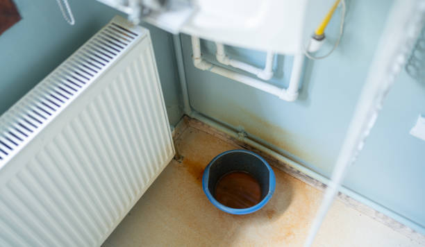 Best Water damage restoration near me  in Haw River, NC