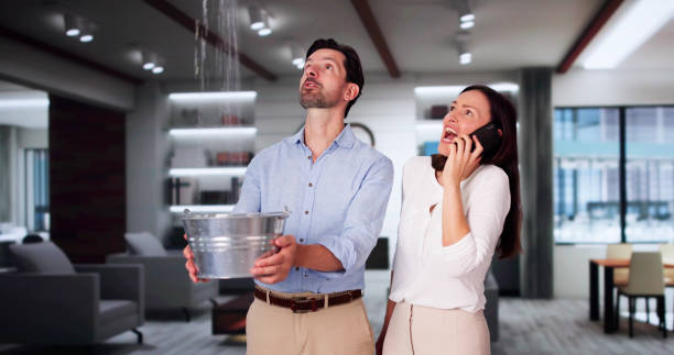 Best Ceiling water damage repair  in Haw River, NC
