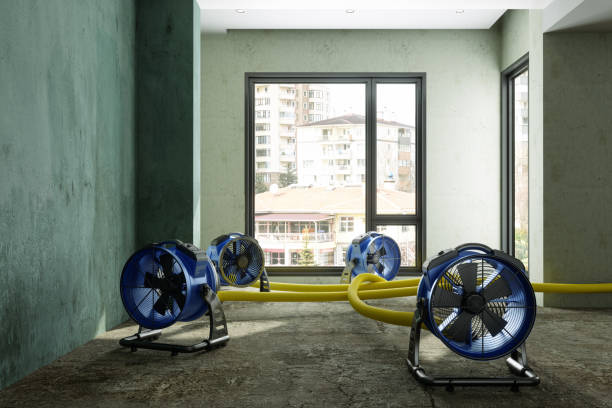 Best Emergency water damage restoration  in Haw River, NC
