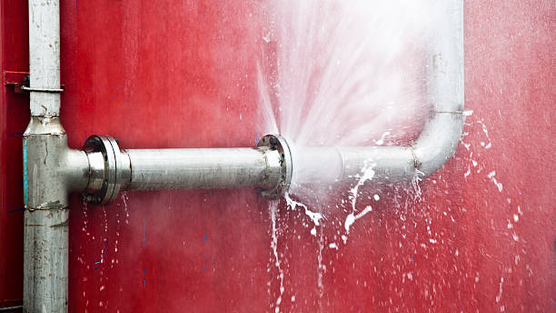 Best Water damage restoration specialists  in Haw River, NC